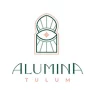 Alumina.webp